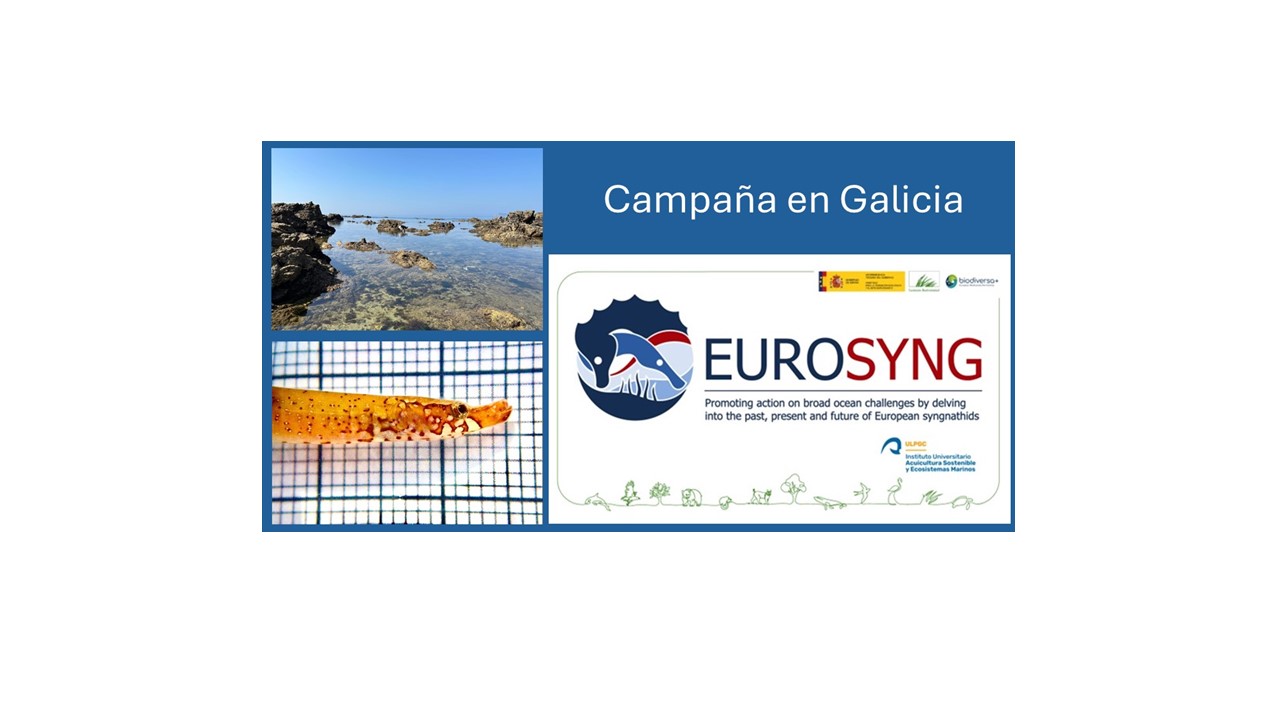 Campaña del proyecto Eurosyng en Galicia 