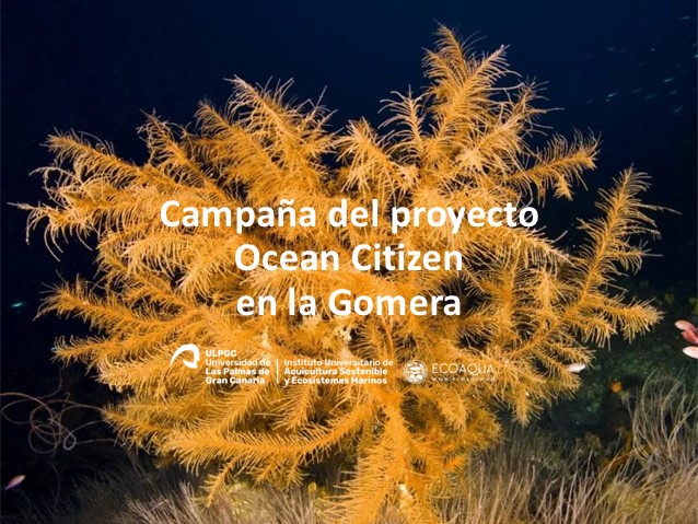 Ocean Citizen project campaign in La Gomera