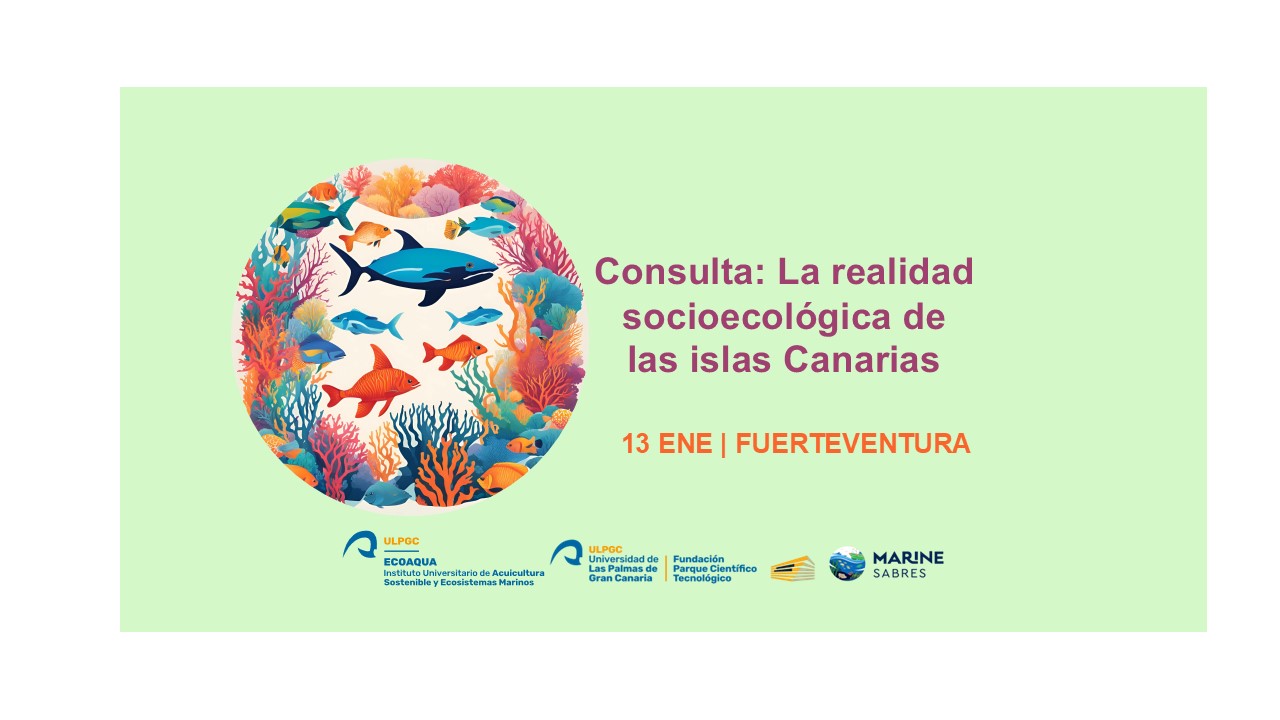 Consultation on the socio-ecological reality of the Canary Islands (Marine SABRES)