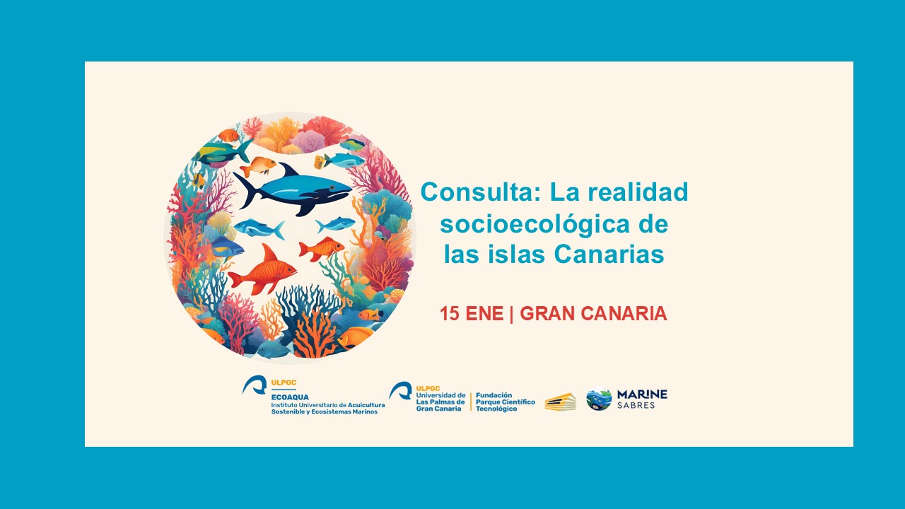 Consultation on the socio-ecological reality of the Canary Islands (Marine SABRES)